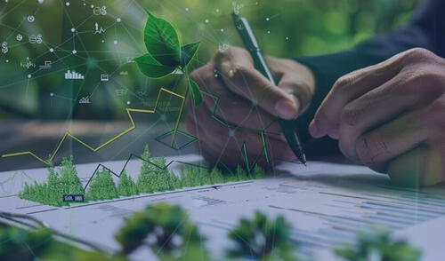 Orden y sostenibilidad para las empresas.