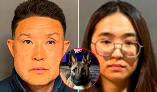 Un entrenador de perros junto a su pareja son acusados de asesinar 10 cachorros en California. California presencia el asesinato de 10 cachorros por un entrenador de perros y su pareja.