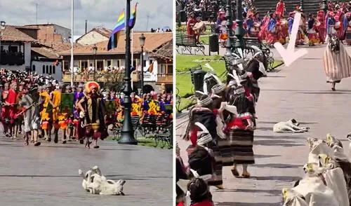 Can sorprendió a todos al dormir plácidamente en la Plaza Mayor de Cusco. Foto: composición LR/ @tourscuscomachupicchu/ TikTok Perrito se queda dormido en pleno Inti Raymi y actores decidieron no molestarlo: “El favorito del inca”