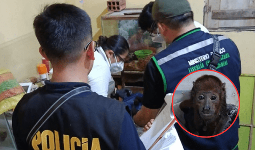 Cae red criminal dedicada al tráfico en Loreto.