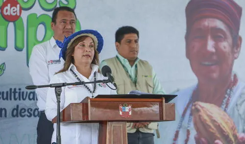 Investigada y blindada. Ninguna denuncia constitucional contra Dina Boluarte ha prosperado hasta el momento en el Congreso. Foto: Presidencia Investigada y blindada. Ninguna denuncia constitucional contra Dina Boluarte ha prosperado hasta el momento en el Congreso.