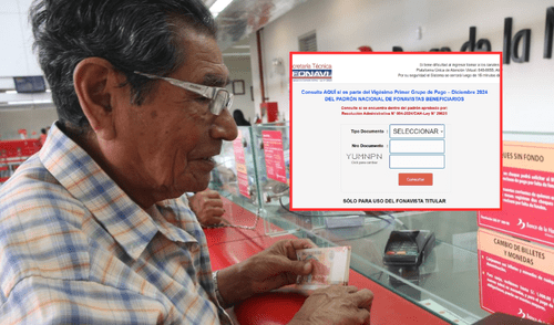 La página oficial de Fonavi ofrece códigos alfabéticos que proporcionan información sobre el estado de las solicitudes y los procedimientos requeridos para continuar con el proceso de devolución.