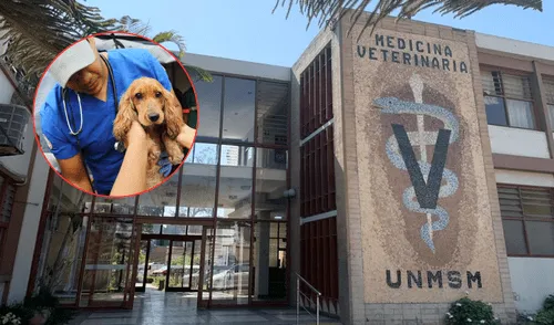 La Clínica Veterinaria de Animales Menores de la UNMSM no es exclusiva para las mascotas de los estudiantes. La Clínica Veterinaria de Animales Menores de la UNMSM no es exclusiva para las mascotas de los estudiantes.