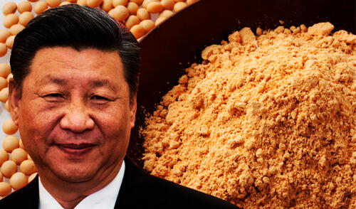 China compró harina de soja a Argentina en medio de los conflictos comerciales con Estados Unidos.