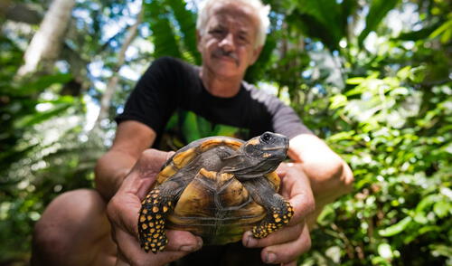 Un modelo de negocio que cuida el ecosistema de la selva peruana. Fuente: Difusión Un modelo de negocio que cuida el ecosistema de la selva peruana