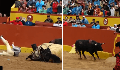 Toro casi embista a hombre en Cajamarca. Foto: composición LR / captura Latina Noticias