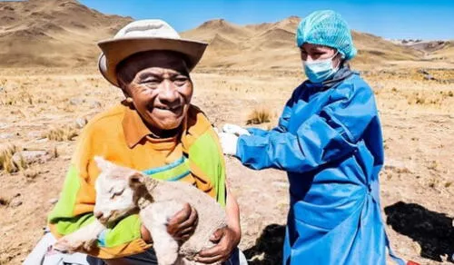 La iniciativa surge tras la urgencia de atención médica en zonas urbano-marginales del Perú. Foto: Andina