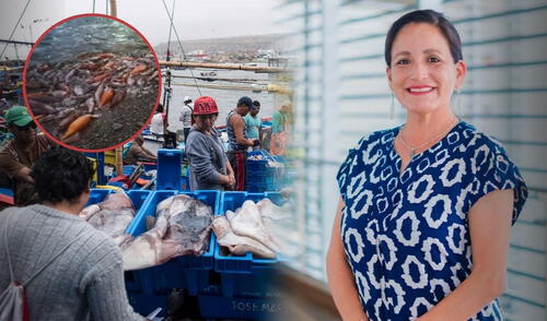 Nathaly Vargas | universidad nacional mayor de san marcos | universidad científica del sur | pota en playas de lima | playas de lima | precio de pota | lima