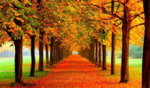 Inicia el mes de julio 2025 y puedas compartir bonitos mensajes y reflexiones para recibir este nuevo tiempo.