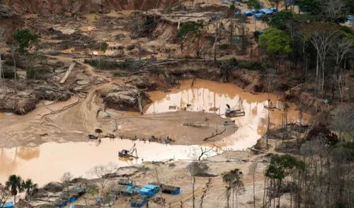 Luego de 9 años de vigencia del Reinfo, "solo el 2,31 % de los inscritos culminaron el proceso de formalización", según el CAL. Foto: difusión Reinfo