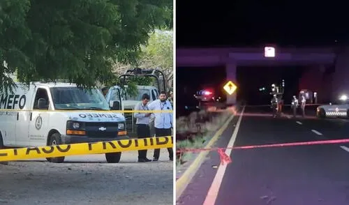 Encuentran 20 cuerpos con signos de violencia en carretera Internacional en Sinaloa.