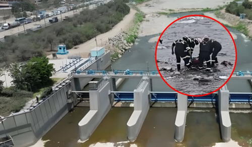 Sedapal aclaró que el incidente no ha afectado los servicios de agua potable en la planta. Foto: Composición LR Sedapal aclaró que el incidente no ha afectado los servicios de agua potable en la planta. Foto: Composición LR
