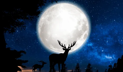 La "Superluna de ciervo" será el evento astronómico más importante de julio. Foto: Pixabay La "Superluna de ciervo" será el evento astronómico más importante de julio.