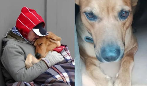 Juan Carlos Leiva sacrificó su vida por cuidar a su perro y murió a las afueras de un edificio.