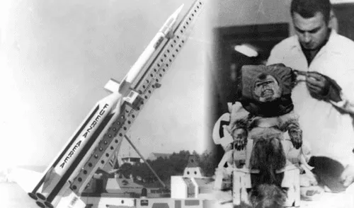 El mono Juan, viajó sedado en una cápsula hecha a su medida y fue ubicado en la punta del cohete. Foto: Composición LR/LN Mono Juan, Argentina