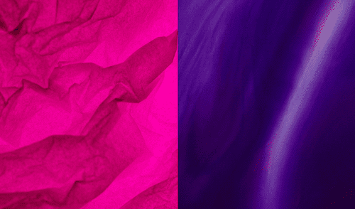 La confusión entre los colores fucsia y violeta suele ser por desconocimiento y la influencia de la luz.