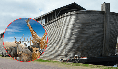 Cabe señalar que la inclusión de los animales marinos en el arca de Noé también es debatida.