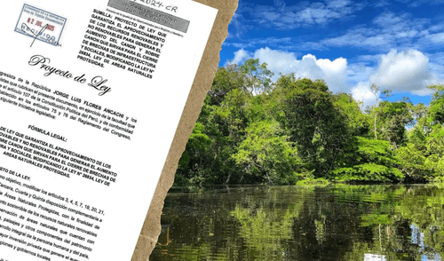 Proyecto de ley. Foto: Composición LR/ Andina.