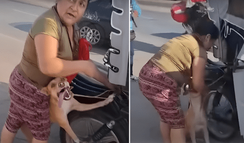 Perrito fue amarrado del cuello a la parte posterior de una mototaxi en movimiento. Foto: Composición LR/24 Horas Perrito fue amarrado del cuello a la parte posterior de una mototaxi en movimiento.