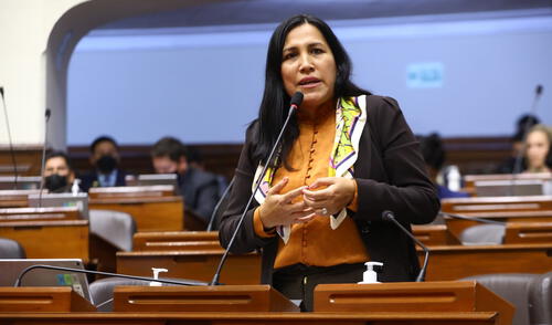 Congresista Flor Pablo Medina Congresista Flor Pablo Medina