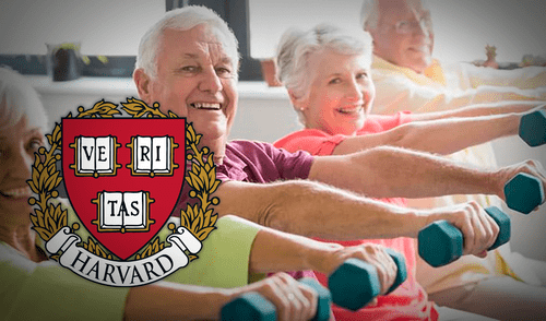 harvard, ejercicios, mayores de 60 años