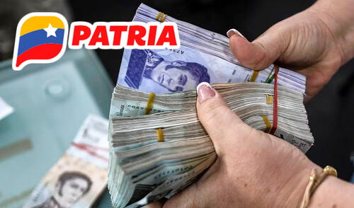 Los bonos de la Patria activos hoy se aceptan por la propia plataforma. Foto: composición LR/AFP Los bonos de la Patria activos hoy se aceptan por la propia plataforma. Foto: composición LR/AFP