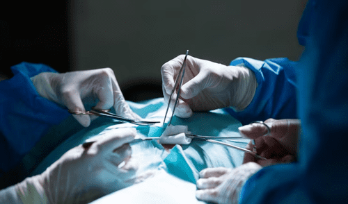 Este cambio responde a una iniciativa de la ONT, respaldada por el Ministerio de Sanidad. Foto: Freepik Este cambio responde a una iniciativa de la ONT, respaldada por el Ministerio de Sanidad.