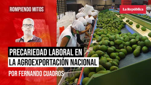 Fernando Cuadros fcl