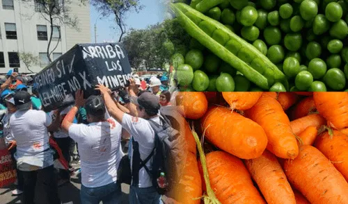 Las protestas de mineros artesanales en rechazo al cierre del Registro Integral de Formalización Minera. Las protestas de mineros artesanales en rechazo al cierre del Registro Integral de Formalización Minera.