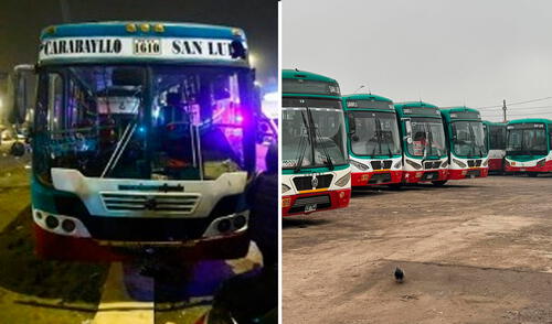 Tras el reciente ataque, los transportistas exigen "mano dura" del Gobierno frente a esta situación. Foto: Composición LR