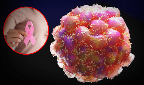 españa, científicos, cáncer