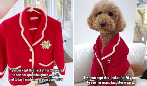 Un perro llamado Bailey fue vestido con una chaqueta familiar de hace tres generaciones de su dueña Paula. Un perro llamado Bailey fue vestido con una chaqueta familiar de hace tres generaciones de su dueña Paula.