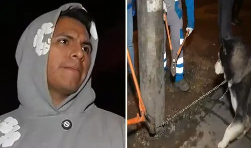 Alcalde de Ate Franco Vidal libera a perrito encadenado a un poste durante una transmisión de Kick