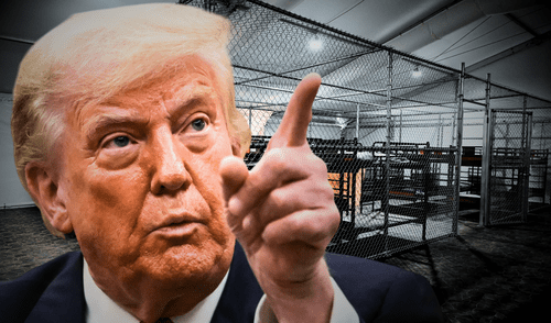 Demandan al gobierno de Donald Trump por negar asesoría legal a inmigrantes detenidos en Alligator Alcatraz. Demandan al gobierno de Donald Trump por negar asesoría legal a inmigrantes detenidos en Alligator Alcatraz.