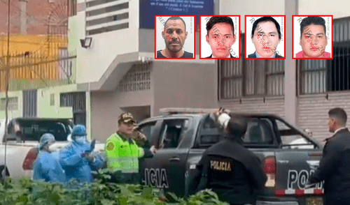 Crímenes ocurrieron en Lima, Cusco, Madre de Dios, Piura, La Libertad y Puno. Foto: Composición LR /Prensa Mi Perú