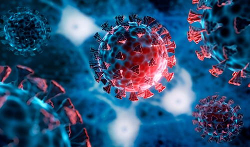 La variante XFG, conocida como “Frankenstein”, preocupa a la OMS.