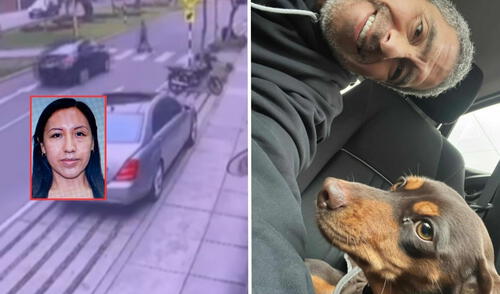 Mascota que fue arrollada junto a paseadora es encontrada por su familia en Miraflores.