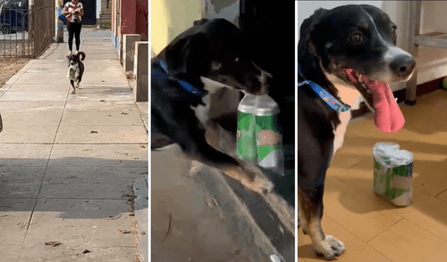 Perrito sabe cómo comprar cervezas