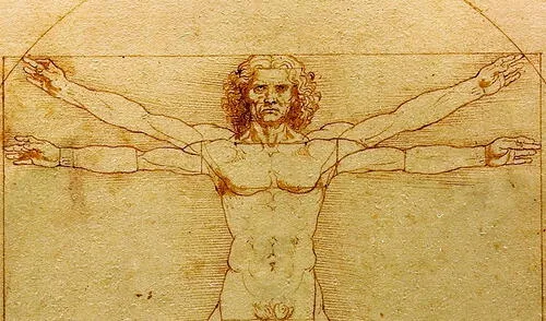 Un estudio resuelve un rompecabezas matemático oculto en el Hombre de Vitruvio de Leonardo da Vinci.