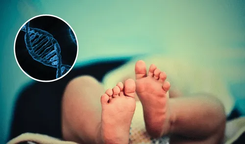 Reino Unido busca evitar las enfermedades mitocondriales en recién nacidos. Reino Unido busca evitar las enfermedades mitocondriales en recién nacidos.