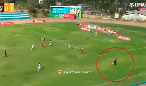 Juez de línea sorprende al meterse en la cancha durante partido entre Ayacucho FC vs Atlético Grau