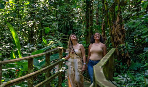Safari en Brasil se transforma para hacer más sencilla la experiencia a los turistas.