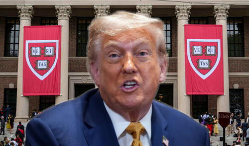 La adminitración de Donald Trump iniciará una pesquisa a Harvard por sus estudiantes internacionales. La adminitración de Donald Trump iniciará una pesquisa a Harvard por sus estudiantes internacionales.