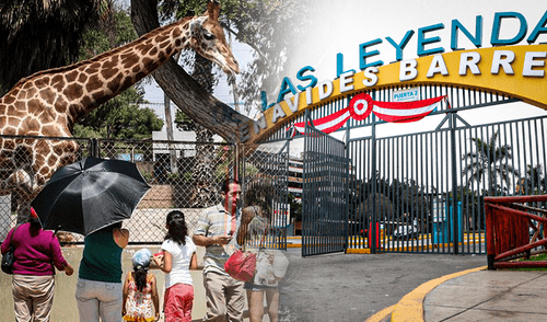 Conoce la programación especial por las fechas festivas de julio. Conoce la programación especial por las fechas festivas de julio.