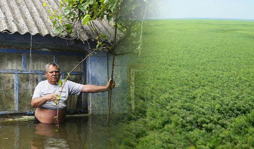 La presa que Rusia voló en Ucrania dio origen a un bosque, pero científicos advierten sobre una posible bomba tóxica