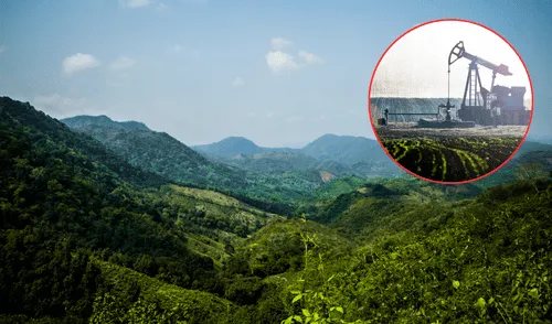 América Latina retrocedió con sus políticas a favor del medio ambiente. Foto: Composición LR