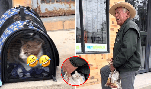 La reacción viral de dos gatos al ser llevados al veterinario de forma diferente Video viral de dos gatos transportados al veterinario de forma diferente