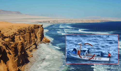 Los pescadores que mataron al lobo marino podrían enfrentar hasta 3 años de prisión por crueldad animal.