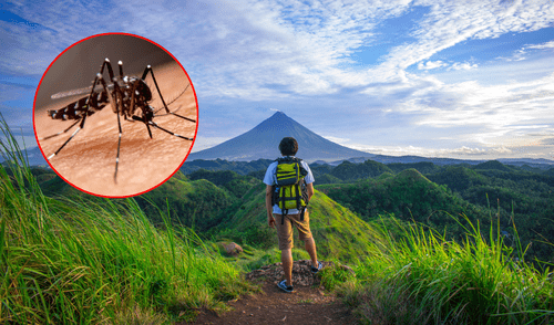 Es importante estar alertas frente al contagio del dengue durante los viajes por fiestas patrias. Foto: Composición LR Es importante estar alertas frente al contagio del dengue durante los viajes por fiestas patrias. Foto: Composición LR