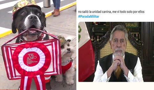 Usuarios en X (antes Twitter) critican ausencia de la Policía Canina en la Parada Militar 2025. Usuarios de redes sociales reaccionaron con ingenio ante las apariciones de Dina Boluarte en la Gran Parada Militar 2025